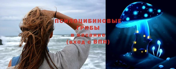 амф Аркадак