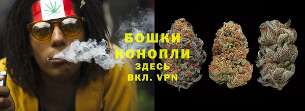 мет Арсеньев