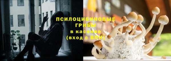 амф Аркадак