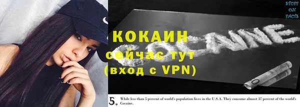 винт Нея