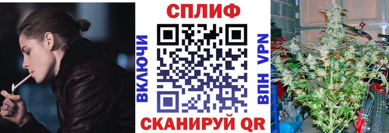наркота  Усмань  Каннабис планчик 